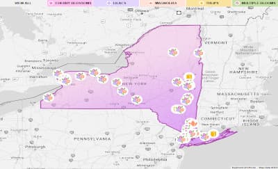 I Love New York Bloom Map